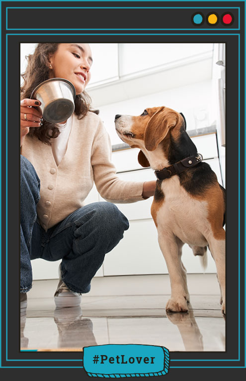 hijo de cuatro patas